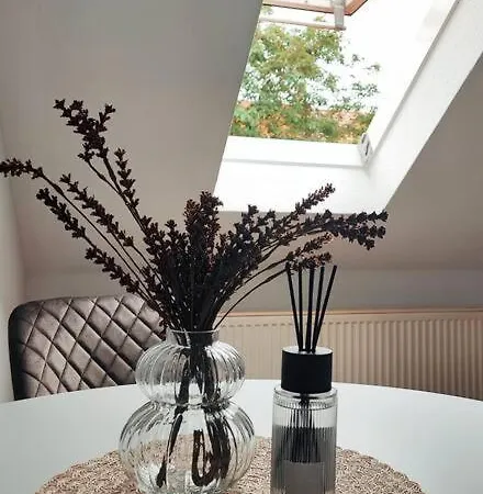 Stylische Altstadtwohnung - Netflix - Smart Tv - Schlafsofa Fuer 3 Personen Apartment