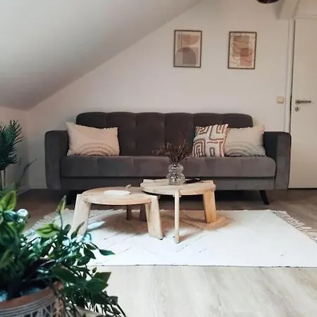 Stylische Altstadtwohnung - Netflix - Smart Tv - Schlafsofa Fuer 3 Personen Apartment Erfurt