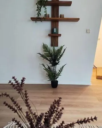 Stylische Altstadtwohnung - Netflix - Smart Tv - Schlafsofa Fuer 3 Personen Apartment